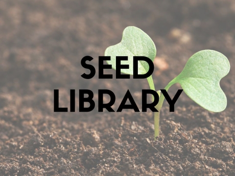 Seed Library