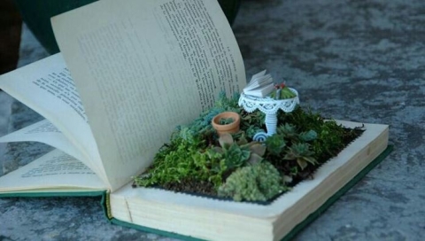 picture of a book with a fairy garden built into it