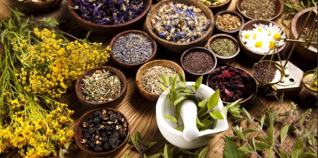 Picture of a variety of medicinal herbs