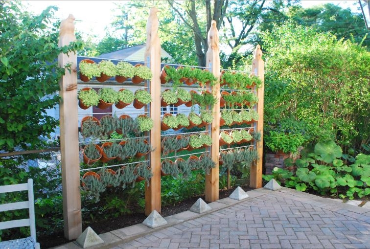 Photo of a vertical garden set-up