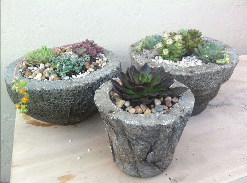 a photo of 3 hypertufa pots with succulents in them