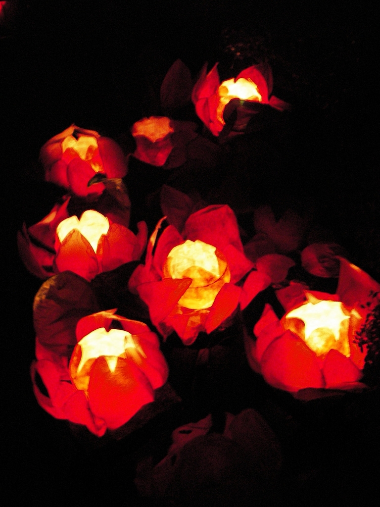 Image of lotus-shaped lanterns