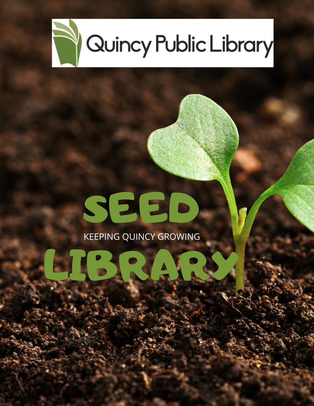 Photo of a seedling with QPL logo and the words "seed library: keeping Quincy growing"