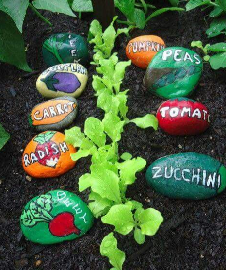 A photo of some baby plants with painted rocks as plant markers