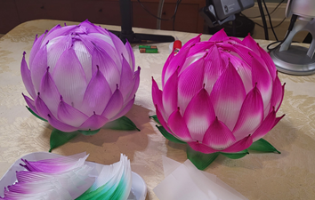 photo of a pink and a purple Korean lotus lantern